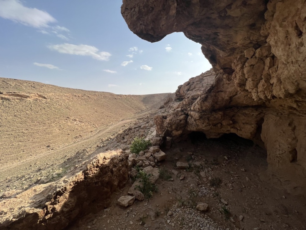 جبل الفهدة