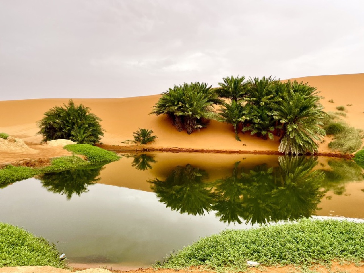 الواحة الخضراء (بحيرة برودان)