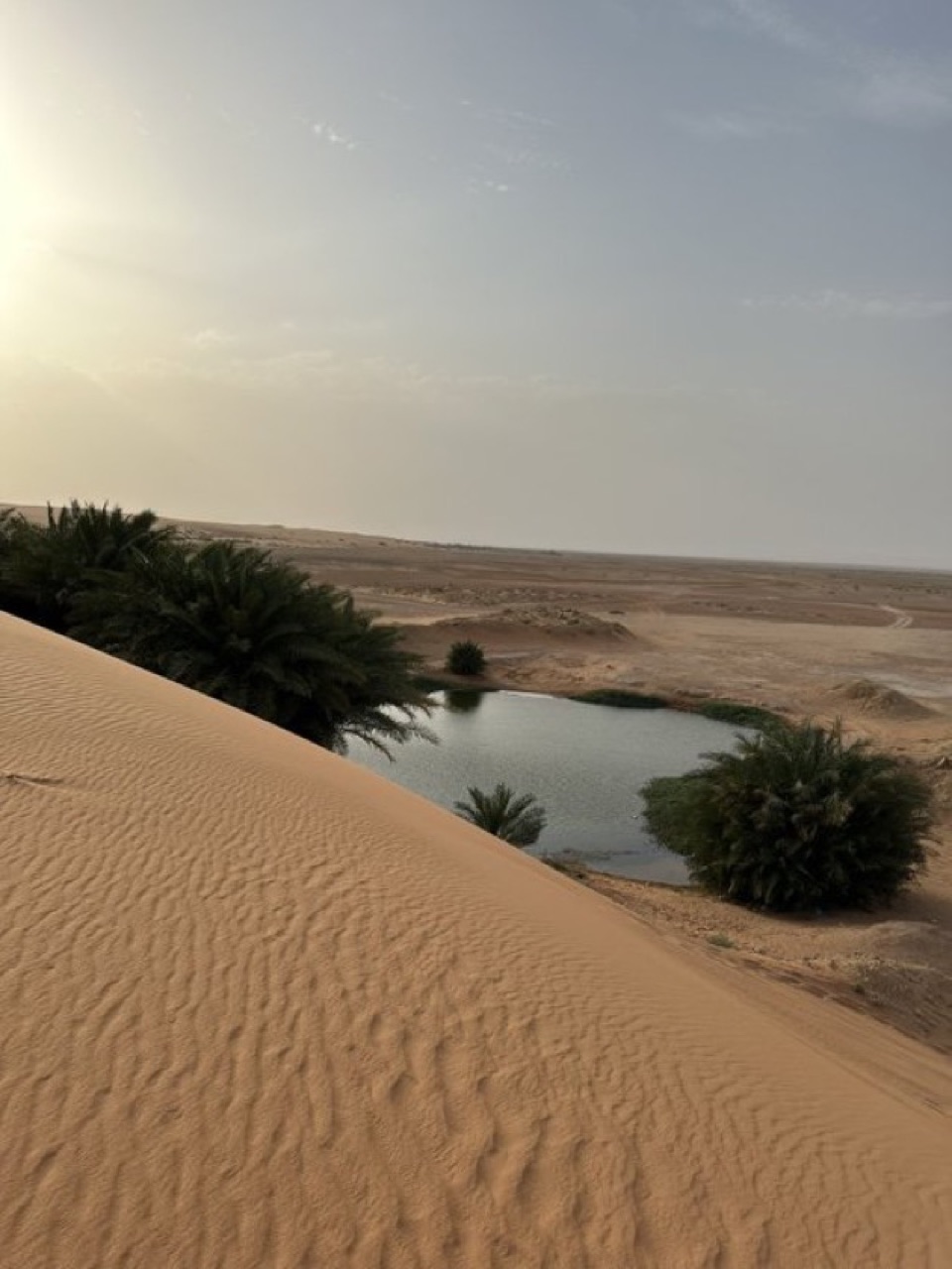 الواحة الخضراء (بحيرة برودان)