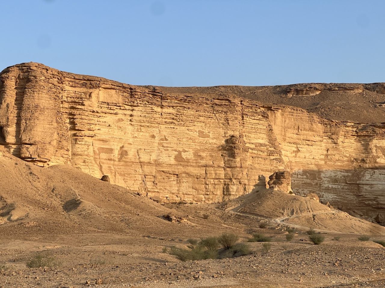 منتزه الشفيعي